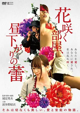 治愈动画电影免费观看 云上邮局